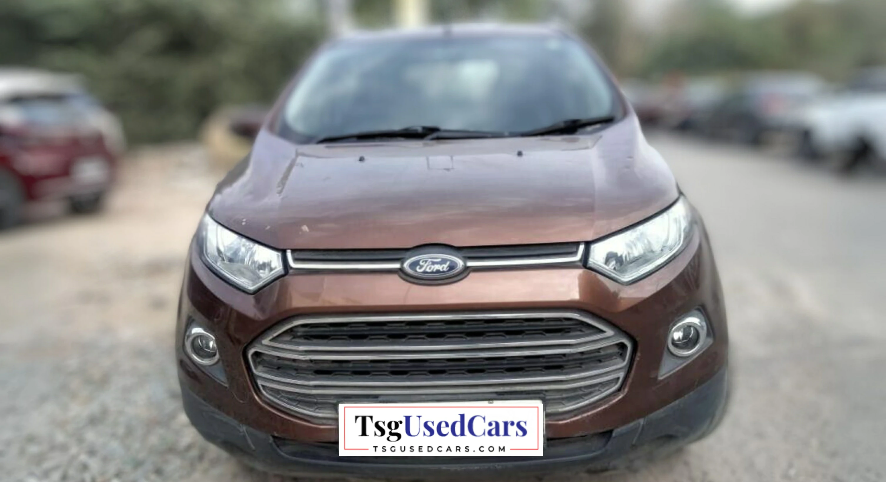 Used Ford ECOSPORTS Titan