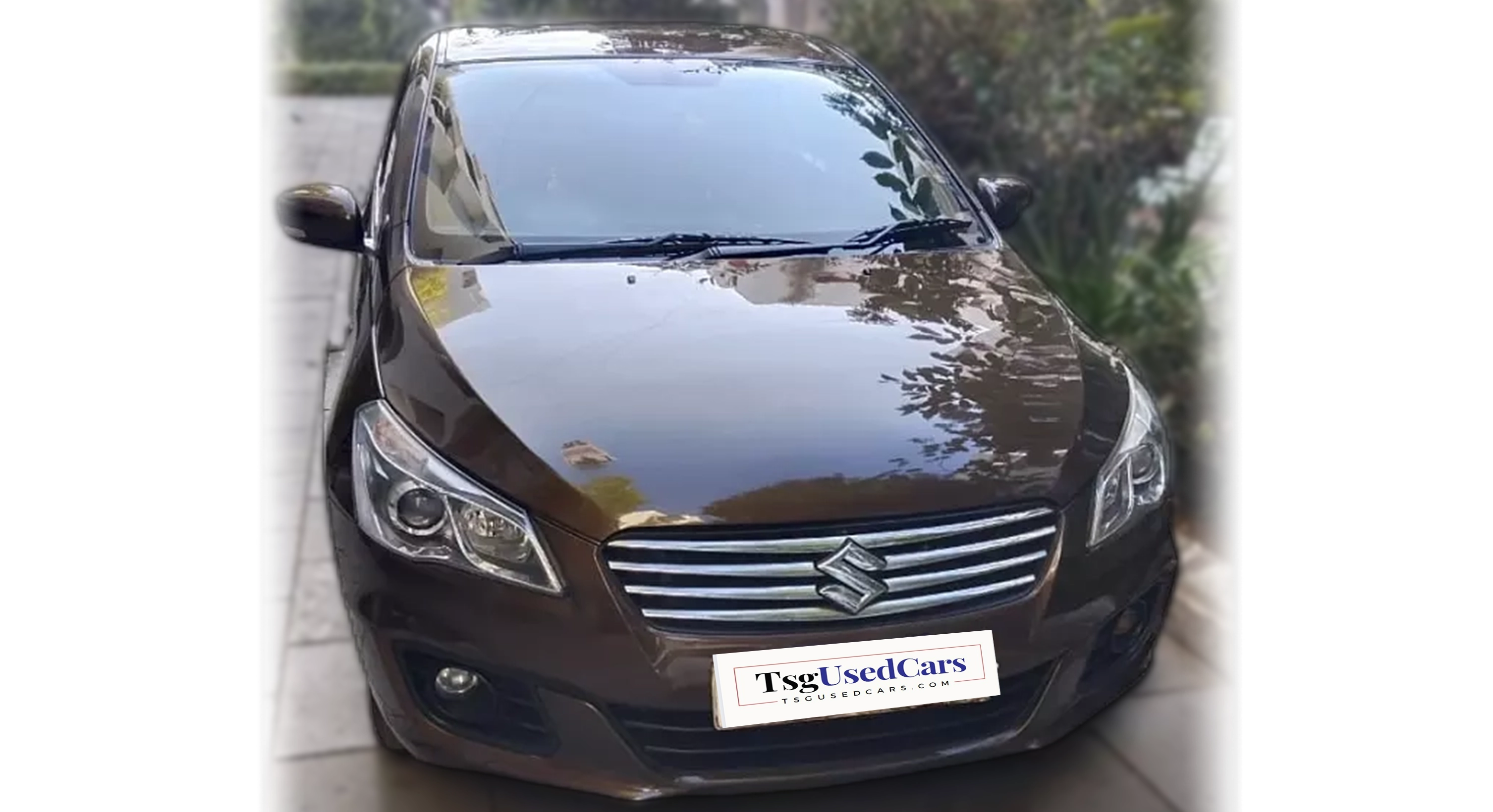 Maruti Suzuki Ciaz ZETA HYBRID