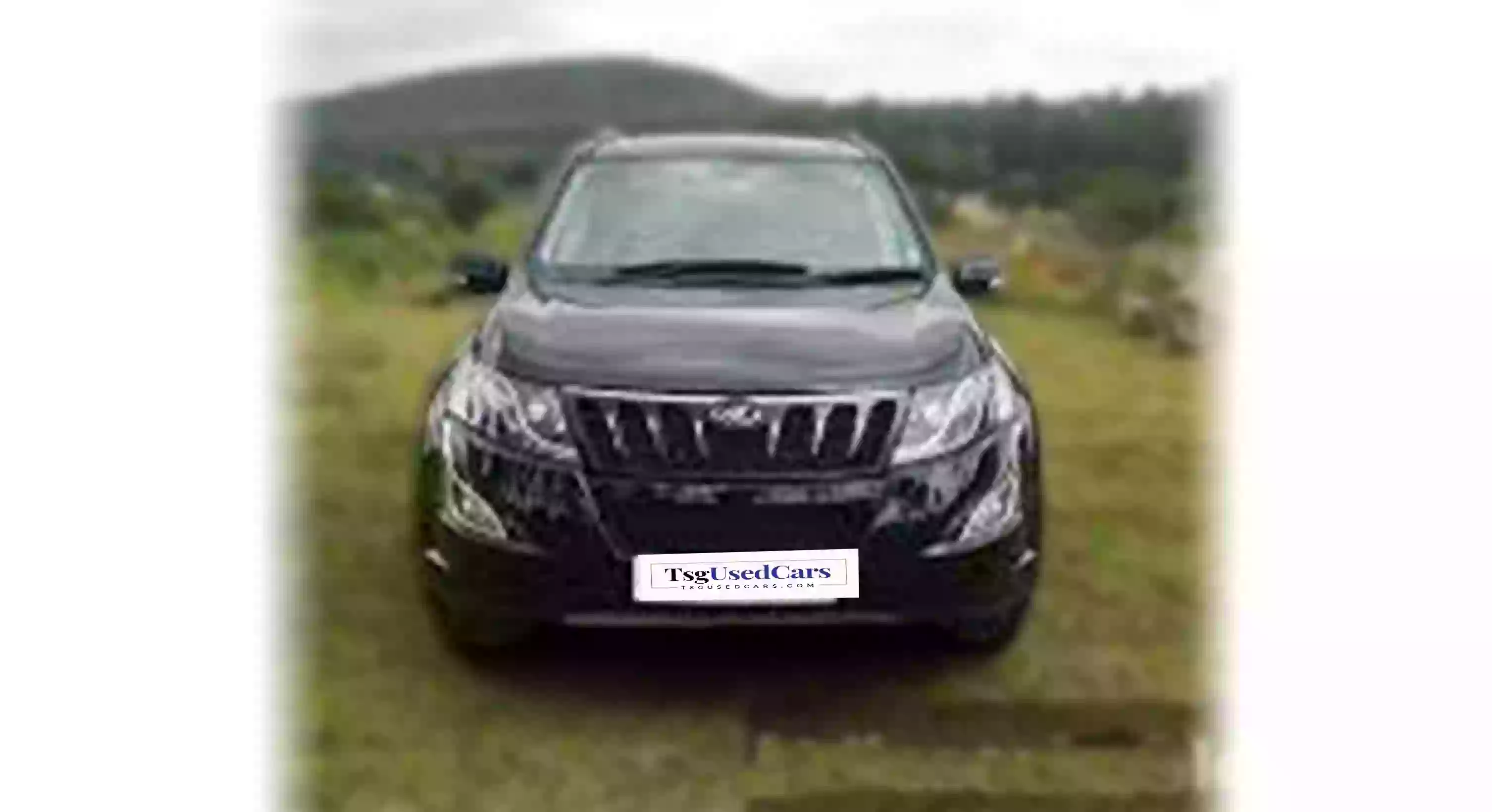 MAHINDRA XUV 500 W 10