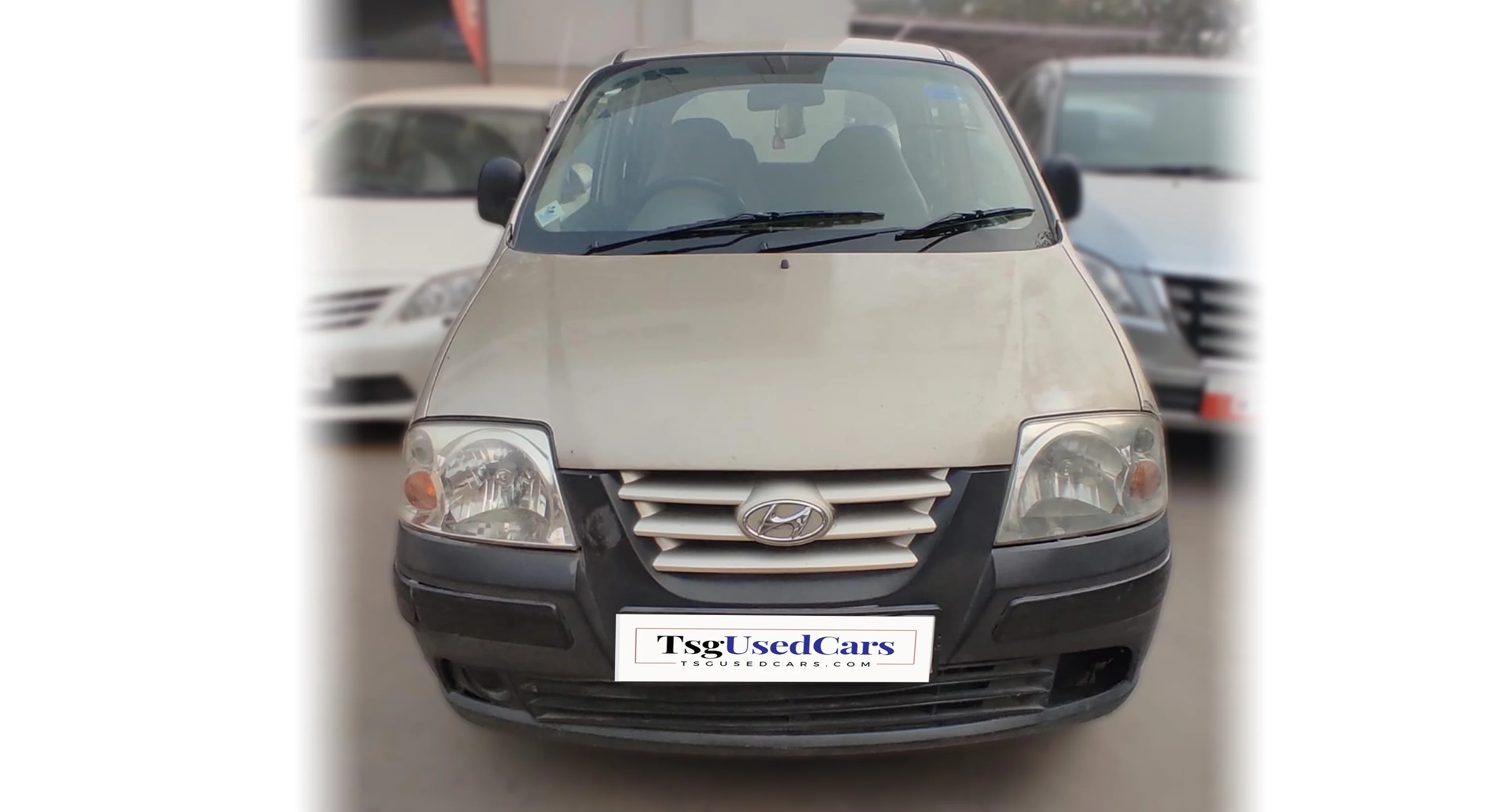 Hyundai Santro GL Petrol 2010